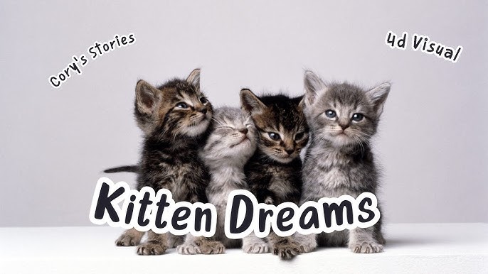 Kitten bedtime story: Kitten's dream