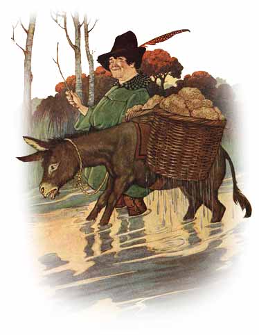 Aesop's Fables: The Donkey That Carried the Salt