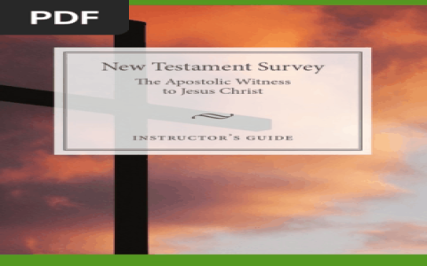 Tyre in the Bible history and stories: A beginners guide to exploring scripture accounts.