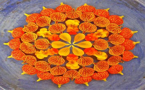 What is flowers and mandalas art? Simple explanations inside now!