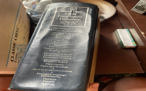 Who Composed the First Encyclopedia from France Discover Its History