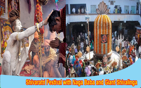 What are god mahadev main festivals? (Shivratri and important dates)