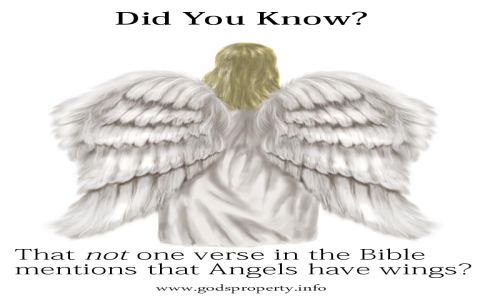 Seraphim and Cherubim Differences: Understanding Celestial Beings