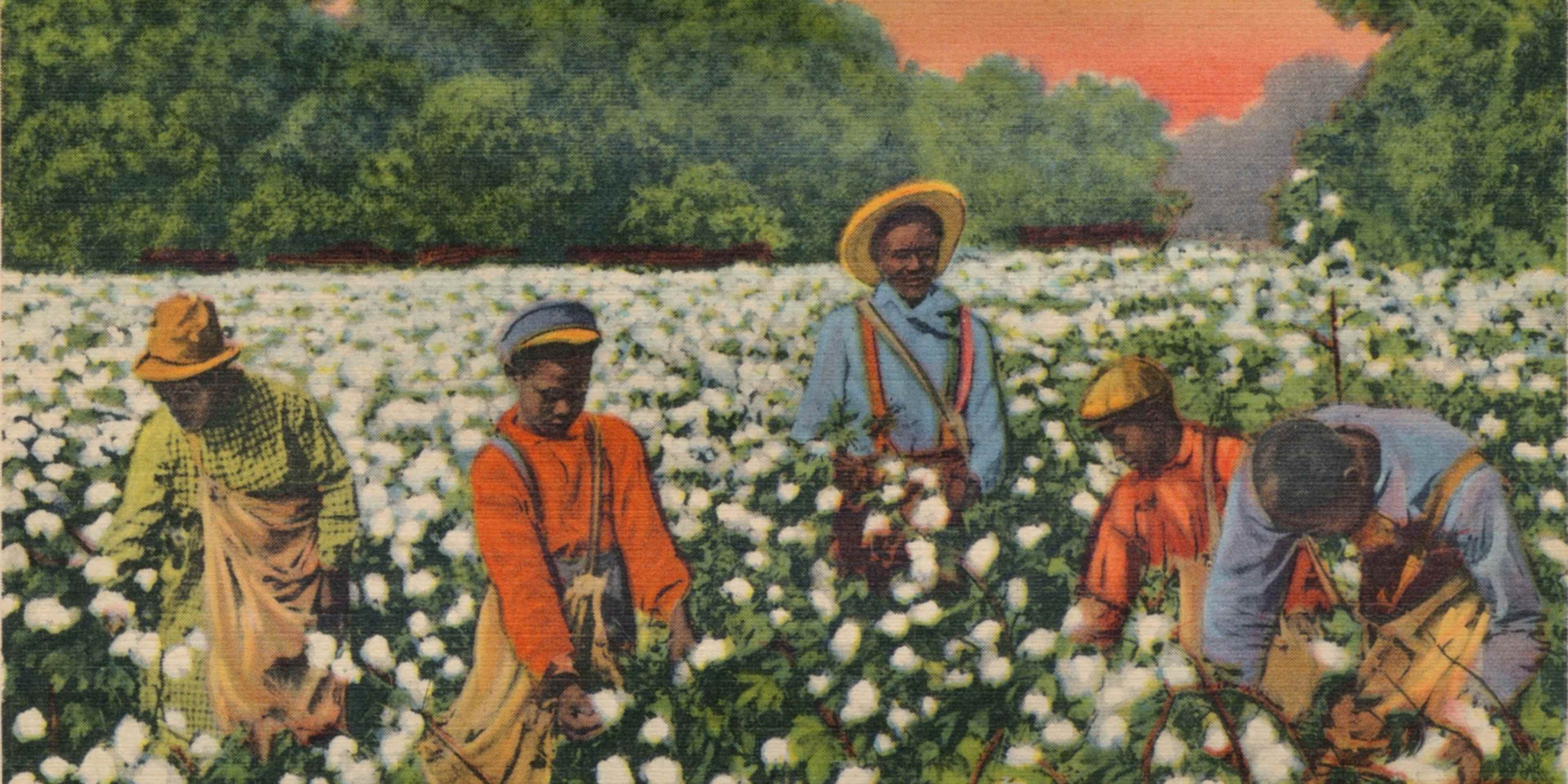 Slaves Picking Cotton Daily Life? Hard Truths About Slavery in America