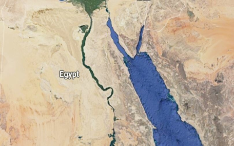 Where is sea of reeds found? Find the best spots and maps