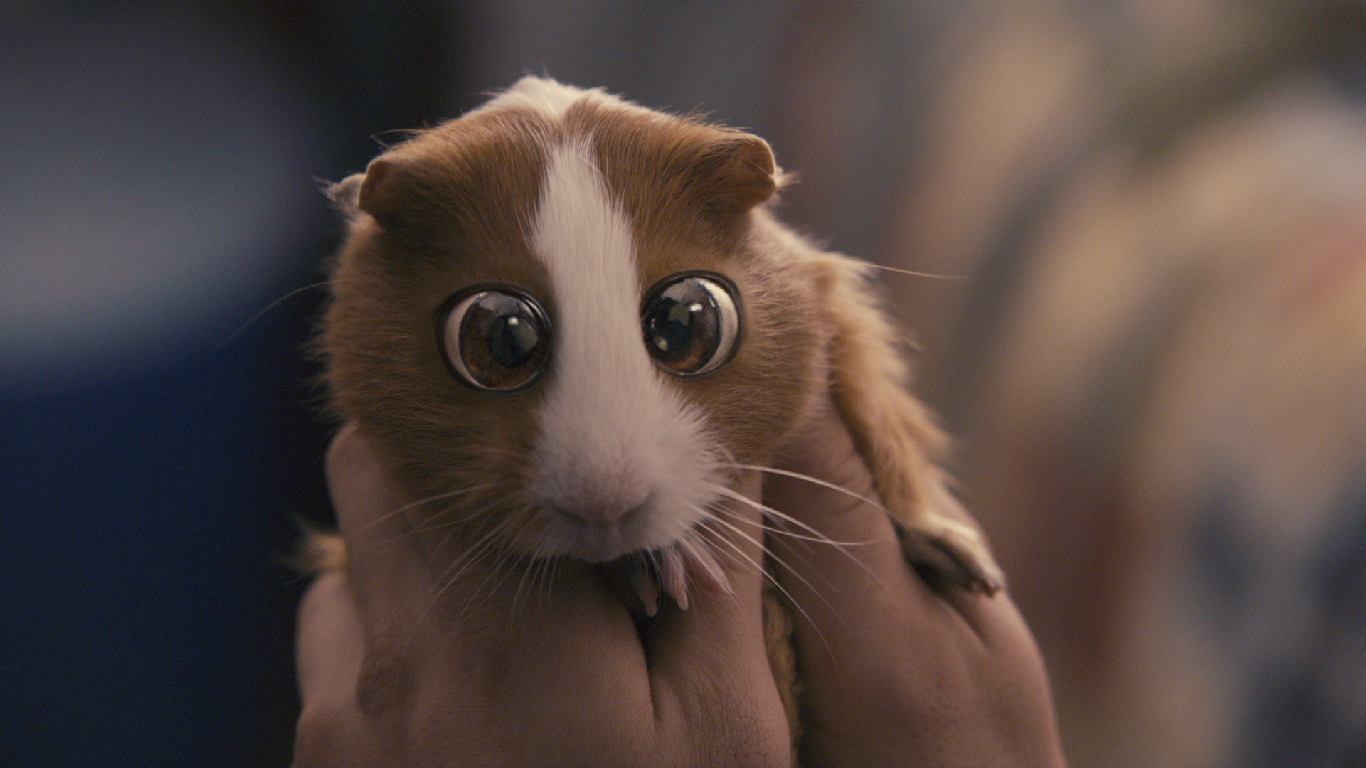 Bugsy from bedtime stories