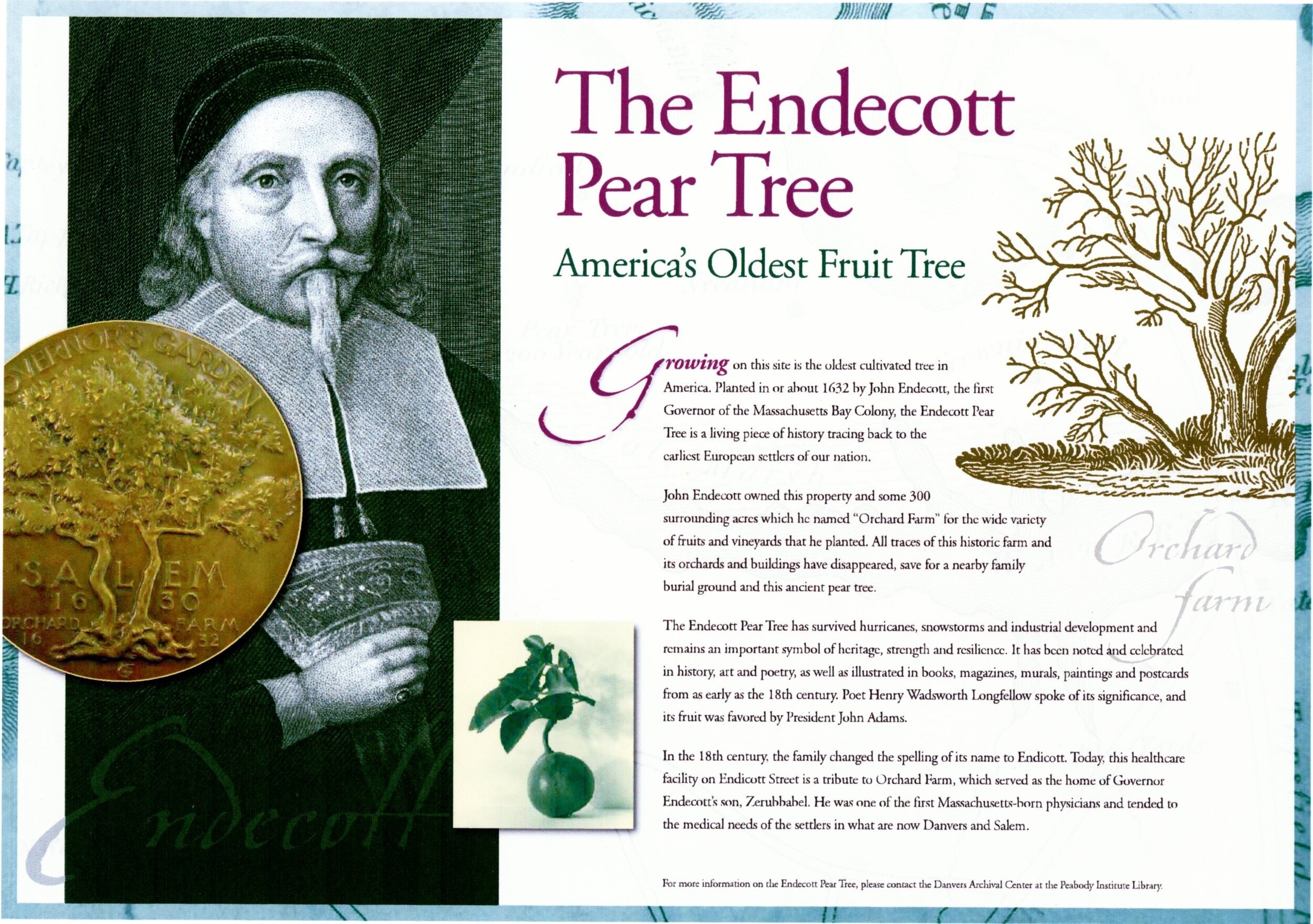 What did john endicott achieve? Explore his major contributions briefly!