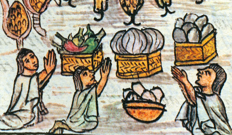 What foods did Aztecs eat? Discover their surprising diet secrets now!