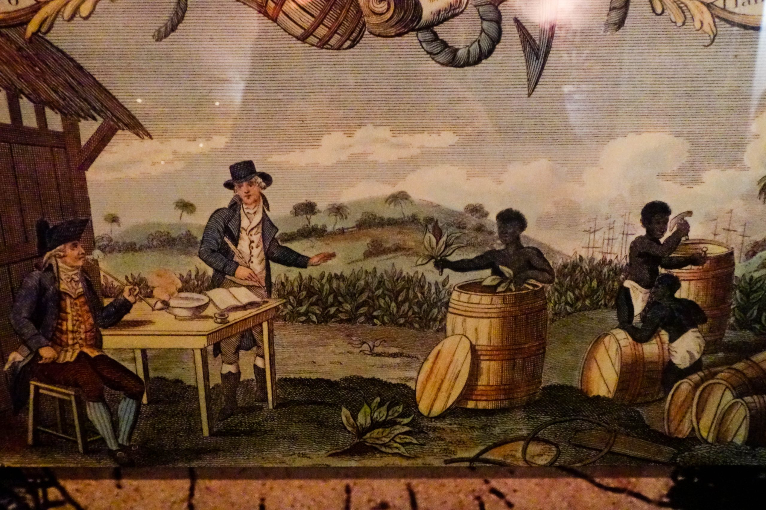 Cash crop that saved Jamestown explained: Grow fortune like early colonists did!