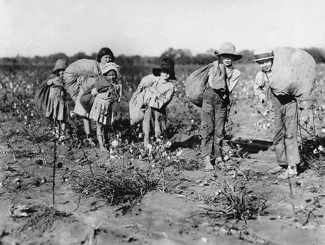 What life was like slaves picking cotton? Daily struggles explained simply.