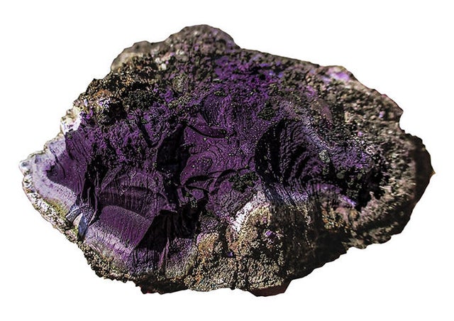 What is Tyrian Purple (Discover why this purple dye was so rare)