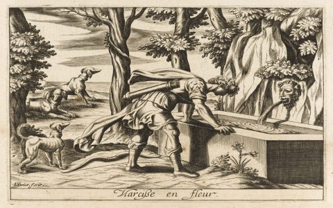 What is the Echo Narcissus myth? Uncover its secrets and meanings today.
