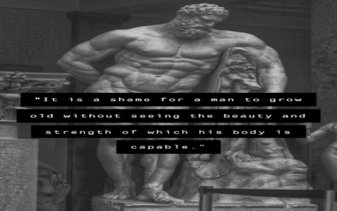 Top Aristotle Quotes Explained (Discover What They Mean)