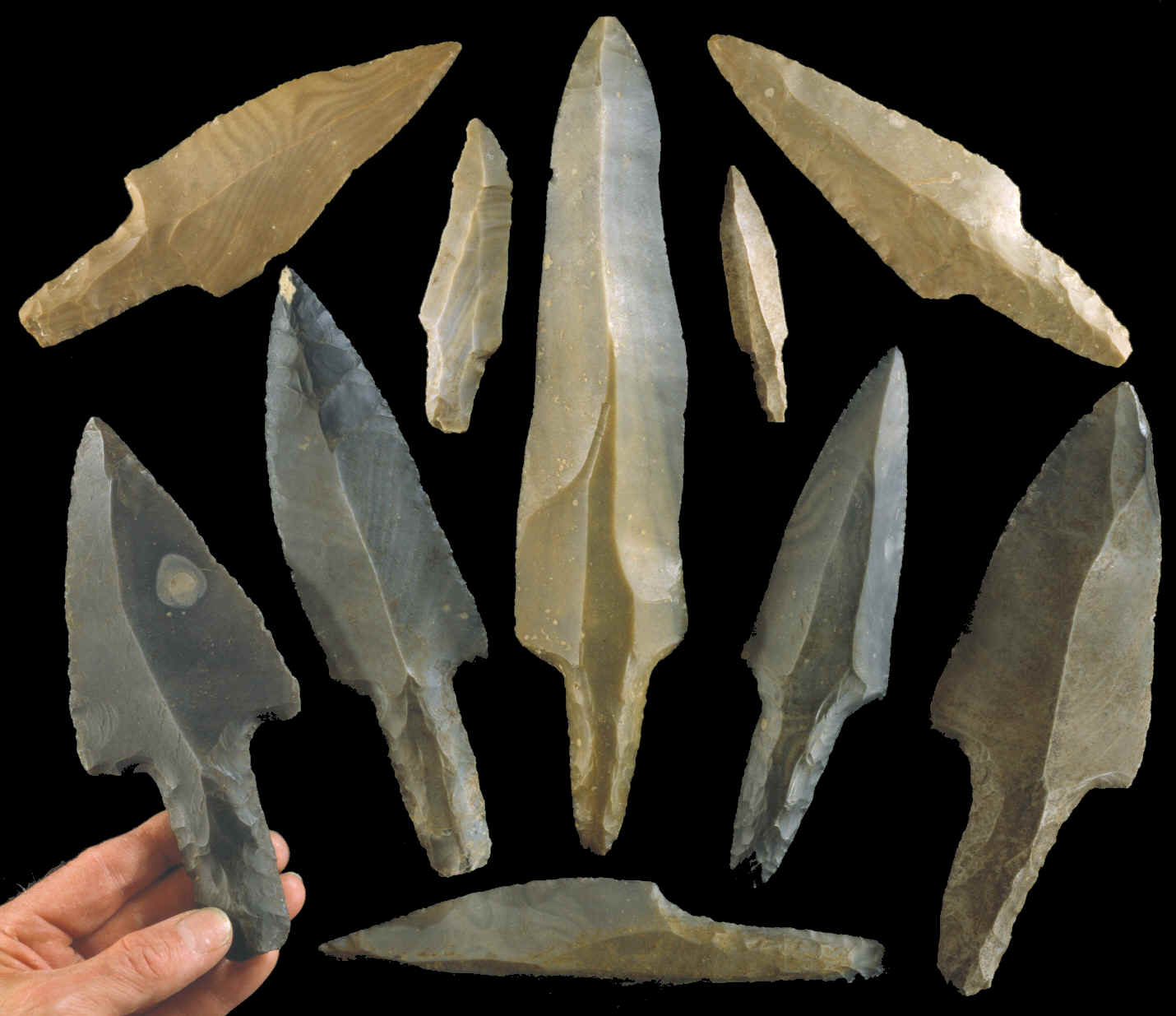 What tools did Mayan agriculture use? An easy guide to ancient equipment for beginners.