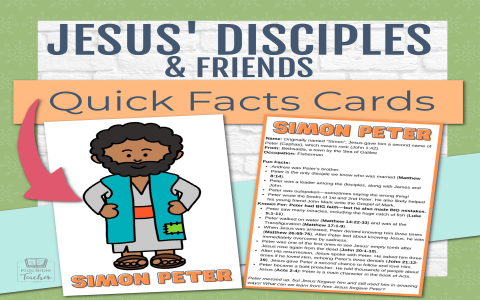 Who Were the Twelve Disciples Learn Key Facts About Them and What Happened