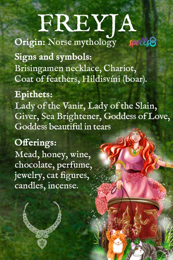 Freya Norse Goddess Symbols Guide: Cats Necklaces Explained!