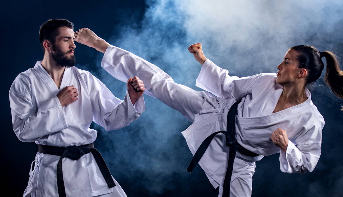 Where to learn export invention Japanese martial arts? (Top resources for starters)