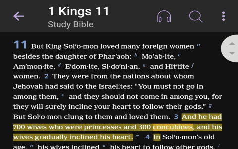 King Solomons Wives Concubines: Lessons We Can Learn Today