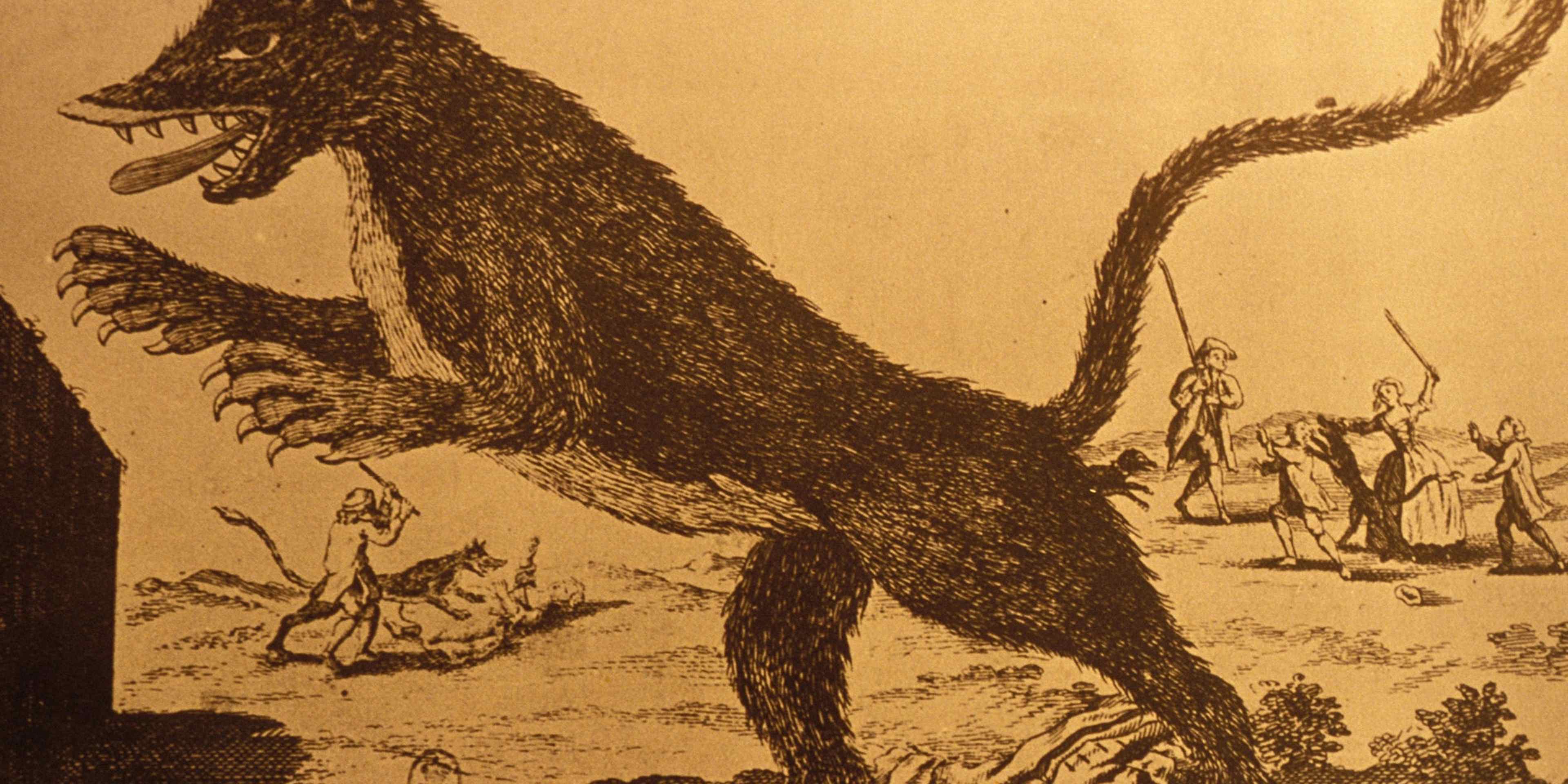 Theories Debunking the Beast of Gevaudan Frances Biggest Mystery?