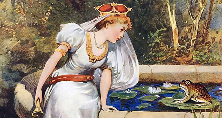 What Happens in The Frog King or Iron Henry? A Simple Plot Summary