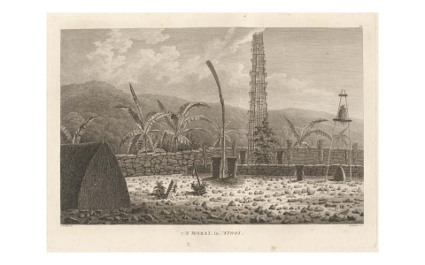 Polynesian vs Hawaiian Creation Myths Top Differences Revealed