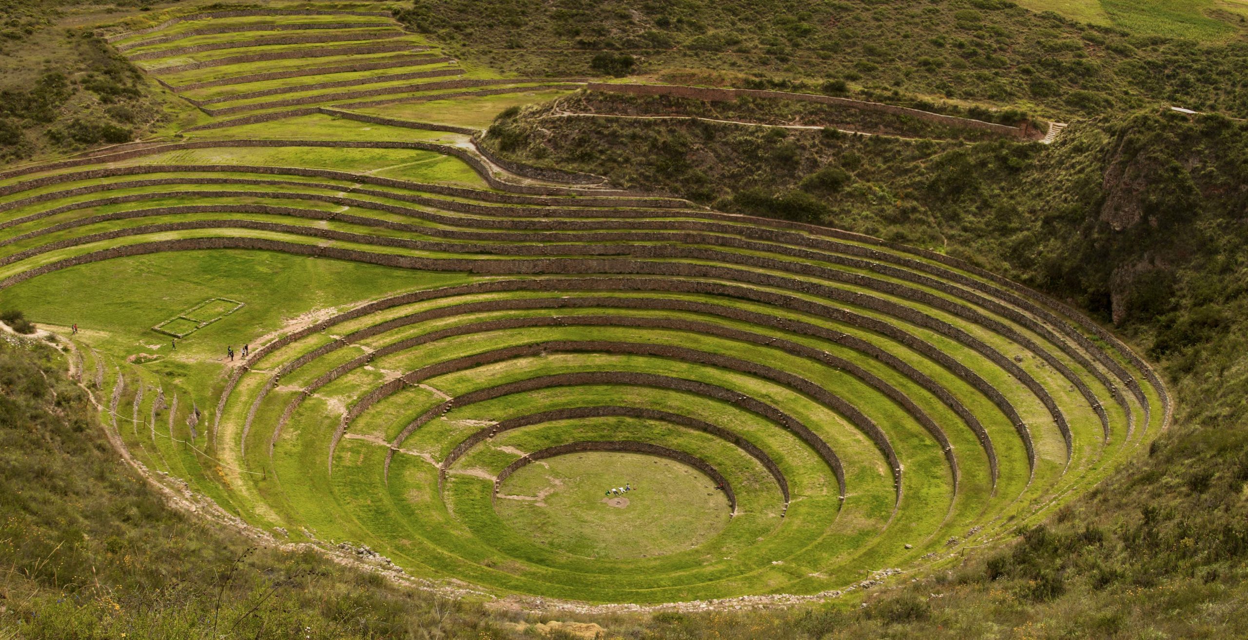 How did the Incas farm? Top 3 easy techniques for ancient farming success.