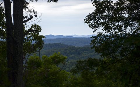 Blue Fugates Family History: 5 Must-Know Facts About the Blue People