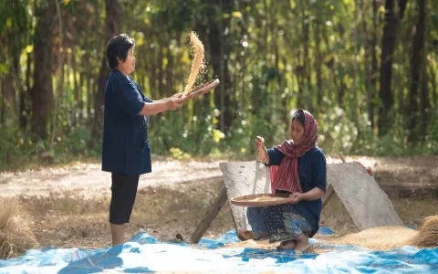 Where was the threshing floor in the bible located? Key places explained