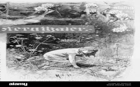 Grimm Fairy Tales:The Two Coins