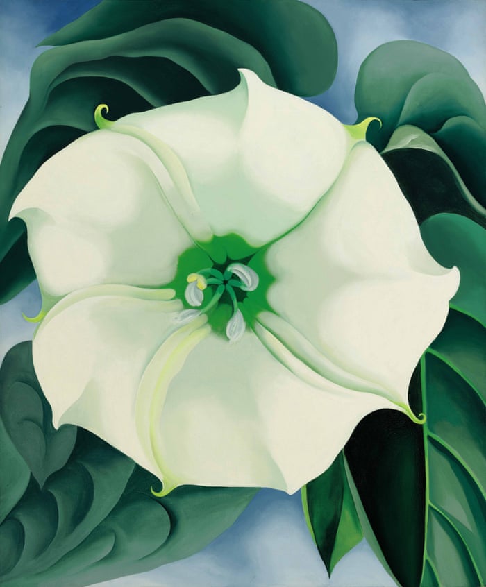 Georgia O Keeffe Art Master of Flowers Top Paintings You Must See Today