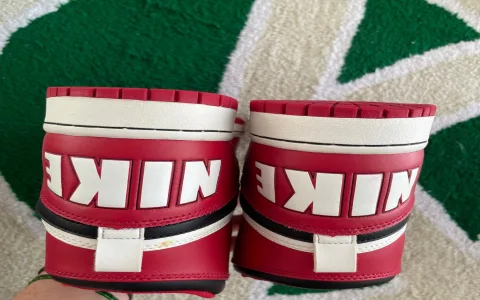 Why did Nike sneakers designed for Spike Lee sell for 50800 dollars Find out why