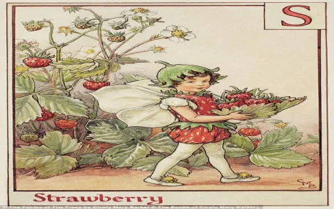 How to collect Cicely Mary Barker Flower Fairies art? Easy steps for beginners!